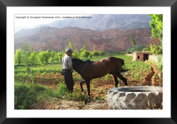 A brown horse standing on top of a mountain Framed Mounted Print by Ali asghar Mazinanian