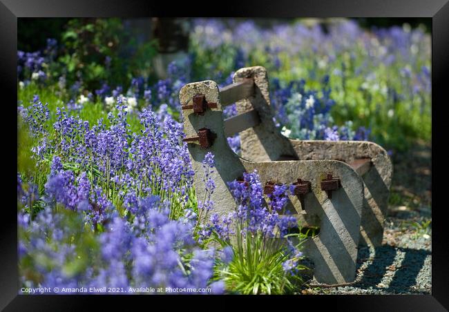 Rustic Bench Framed Print by Amanda Elwell