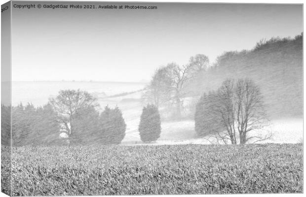 Snow Storm over Marshside fields Canvas Print by GadgetGaz Photo