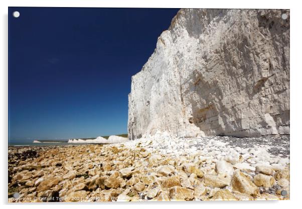 Seven Sisters cliffs near Birling Gap, East Sussex, England, UK Acrylic by Geraint Tellem ARPS