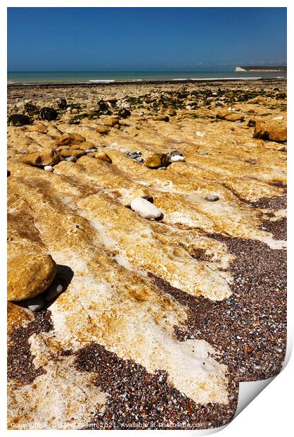 Intertidal zone near Birling Gap, Seven Sisters Country Park, East Sussex, England, UK Print by Geraint Tellem ARPS