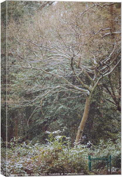 Enchanted Winter Forest Canvas Print by Ben Delves