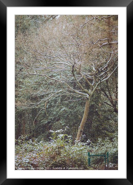 Enchanted Winter Forest Framed Mounted Print by Ben Delves