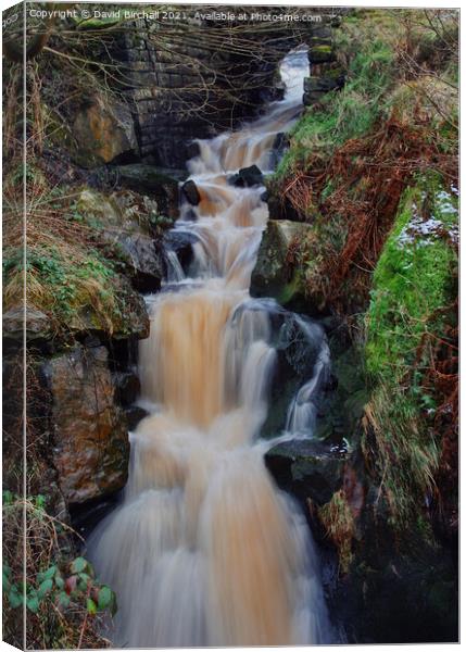 Pennine waterfall at Littleborough, Lancashire. Canvas Print by David Birchall