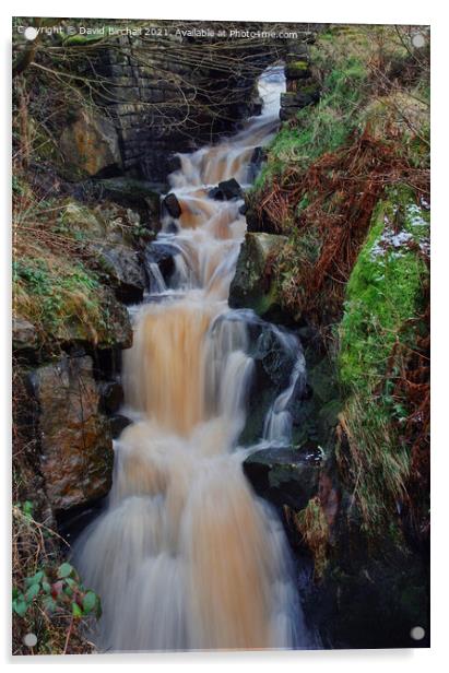 Pennine waterfall at Littleborough, Lancashire. Acrylic by David Birchall