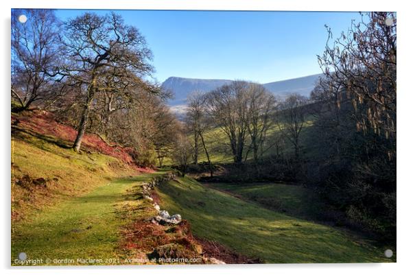 The Path up to Cadair Idris, Snowdonia Acrylic by Gordon Maclaren