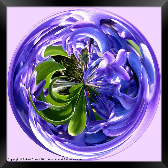 Spherical Paperweight of Bluebells. Framed Print by Robert Gipson