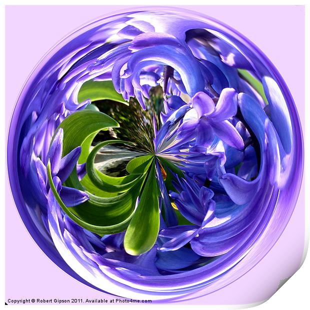 Spherical Paperweight of Bluebells. Print by Robert Gipson
