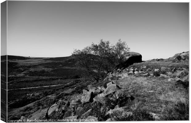 Lone Tree in the Roaches Canvas Print by Mark ODonnell
