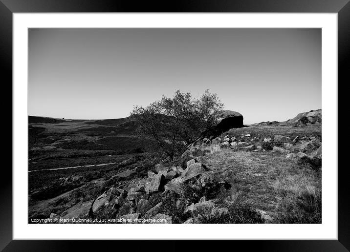Lone Tree in the Roaches Framed Mounted Print by Mark ODonnell