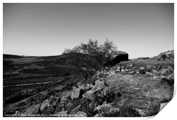 Lone Tree in the Roaches Print by Mark ODonnell