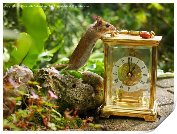 Wild woodmouse on a Clock. Print by Elizabeth Debenham