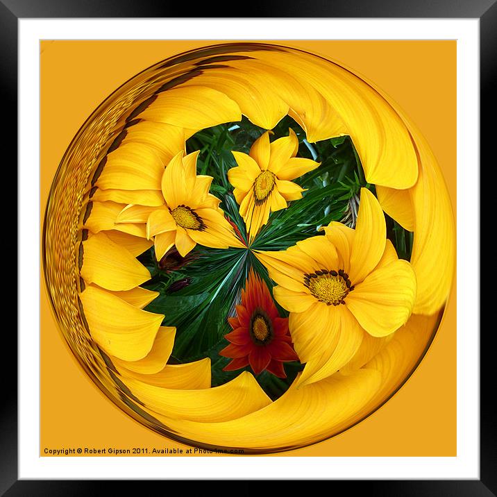 Spherical Paperweight Flowers Framed Mounted Print by Robert Gipson