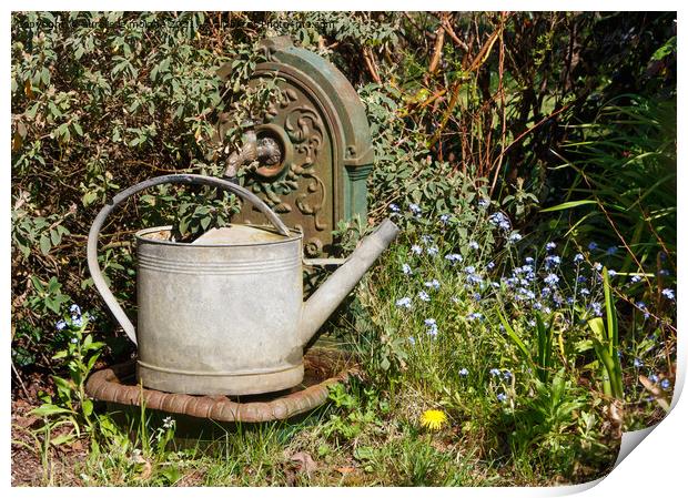 Watering can in zinc on a fountain in cast iron Print by aurélie le moigne