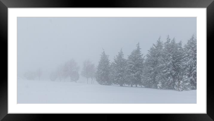 Trees in the snow Framed Mounted Print by chris smith