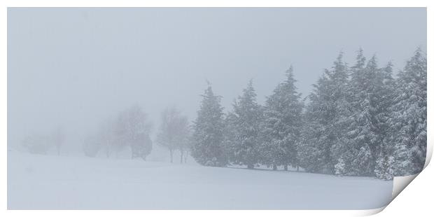 Trees in the snow Print by chris smith