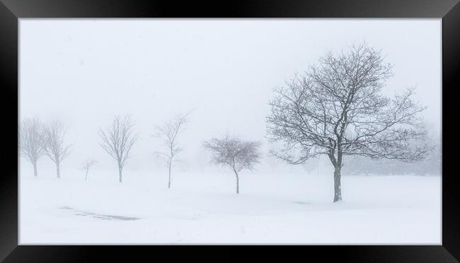 Trees in the snow Framed Print by chris smith