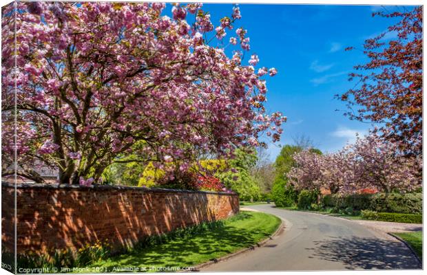 Springtime Trees in Blossom Canvas Print by Jim Monk