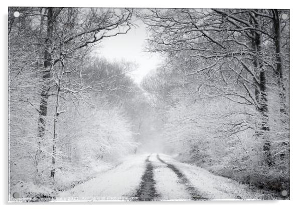 Enchanted Winter Wonderland Acrylic by Jeremy Sage