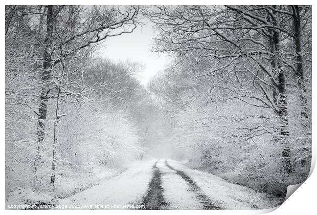 Enchanted Winter Wonderland Print by Jeremy Sage