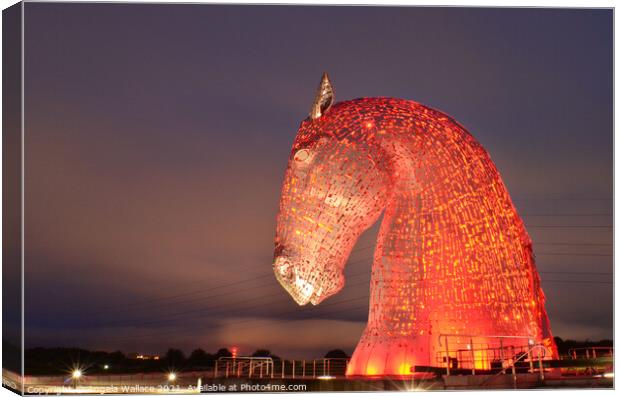 Kelpie Illuminated in red Canvas Print by Angela Wallace