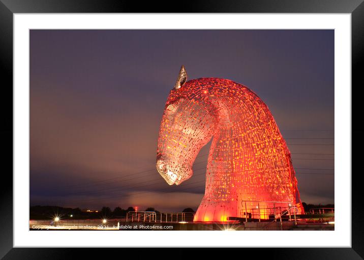 Kelpie Illuminated in red Framed Mounted Print by Angela Wallace