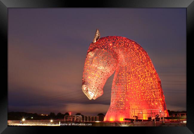 Kelpie Illuminated in red Framed Print by Angela Wallace