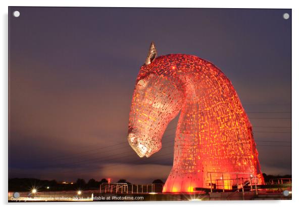 Kelpie Illuminated in red Acrylic by Angela Wallace