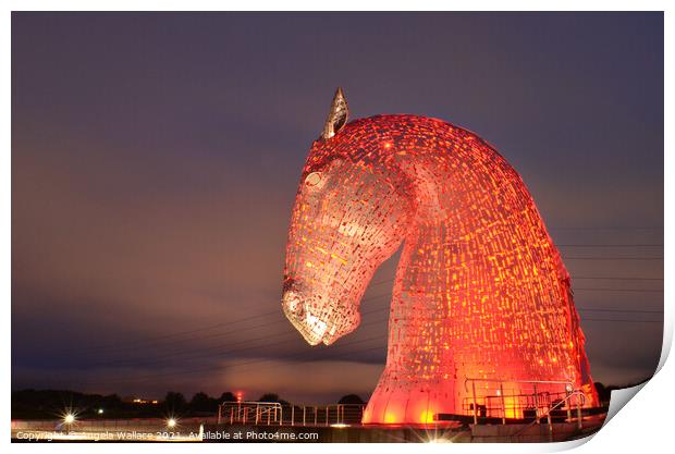 Kelpie Illuminated in red Print by Angela Wallace