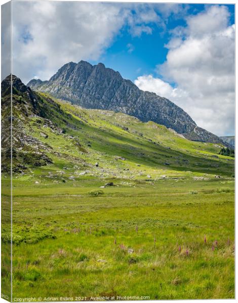 Tryfan Mountain Snowdonia Wales Canvas Print by Adrian Evans