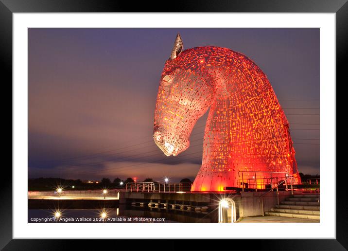 Kelpie with reflections Framed Mounted Print by Angela Wallace