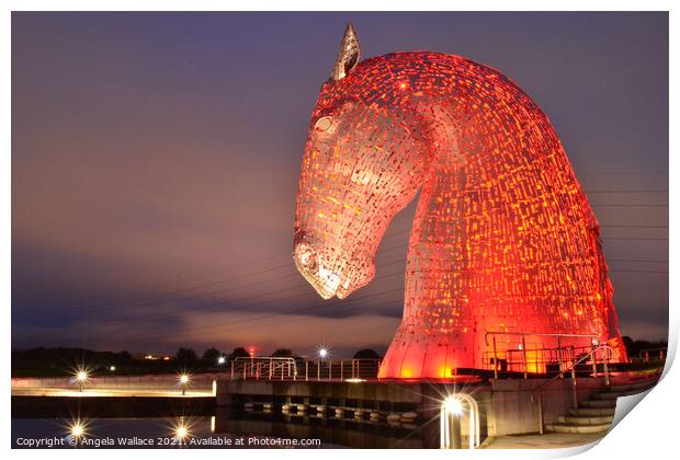 Kelpie with reflections Print by Angela Wallace