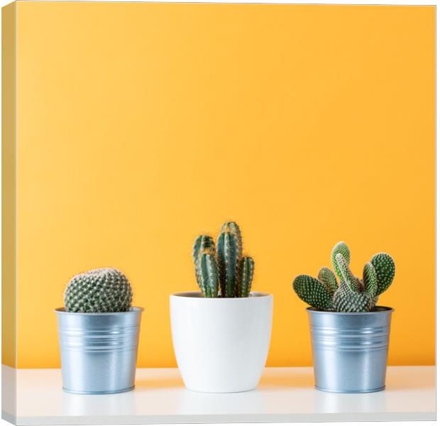 Cactus plants in flowerpots against yellow colored Canvas Print by Andrea Obzerova