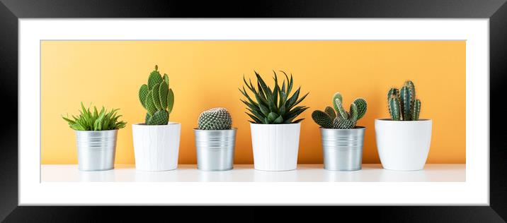 Cactus plants in flowerpots against yellow colored Framed Mounted Print by Andrea Obzerova