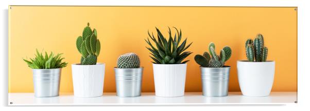Cactus plants in flowerpots against yellow colored Acrylic by Andrea Obzerova