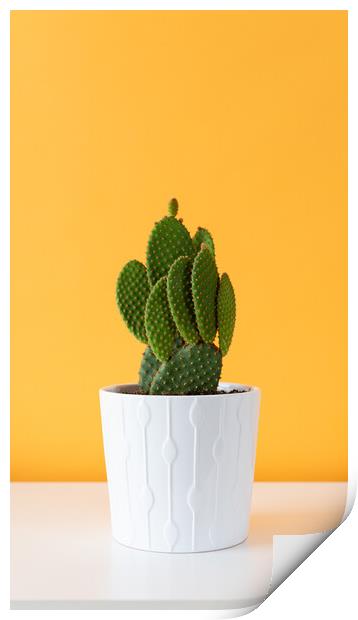 Cactus plant in white flowerpot against yellow col Print by Andrea Obzerova