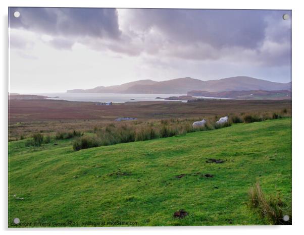West coast of the Isle of Skye Acrylic by Terry Senior