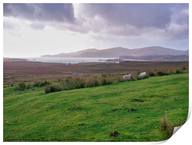 West coast of the Isle of Skye Print by Terry Senior