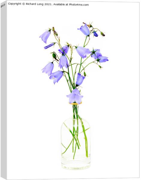 Wild flowers Canvas Print by Richard Long