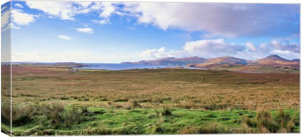 Panorama of Sligachan, Cuillin Hills, Isle of Skye Canvas Print by Terry Senior