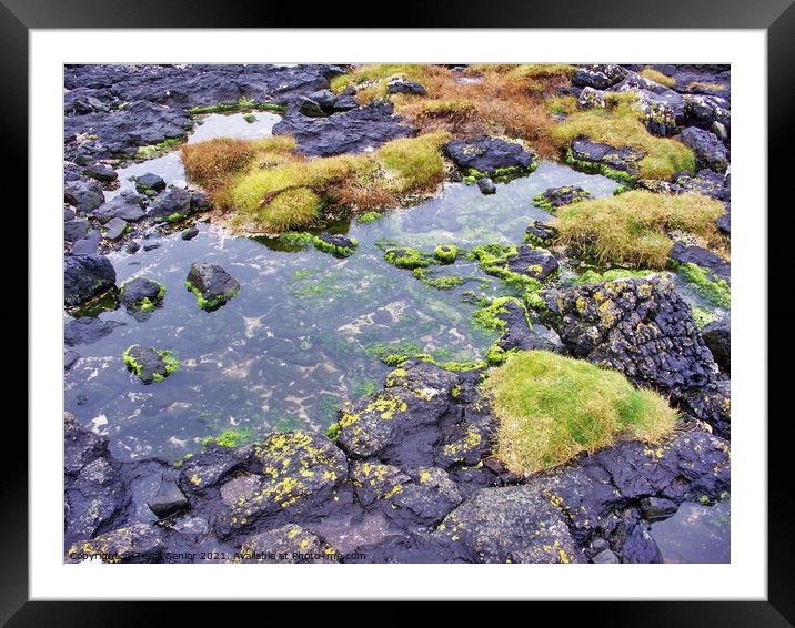Rock pools on the coastline of the Isle of Skye, S Framed Mounted Print by Terry Senior