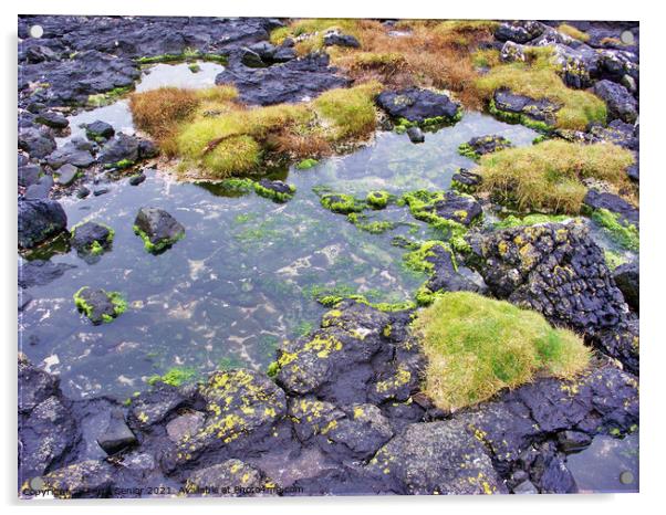 Rock pools on the coastline of the Isle of Skye, S Acrylic by Terry Senior
