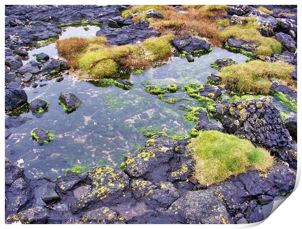 Rock pools on the coastline of the Isle of Skye, S Print by Terry Senior