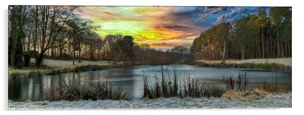 Winter Sunrise Acrylic by Darren Ball