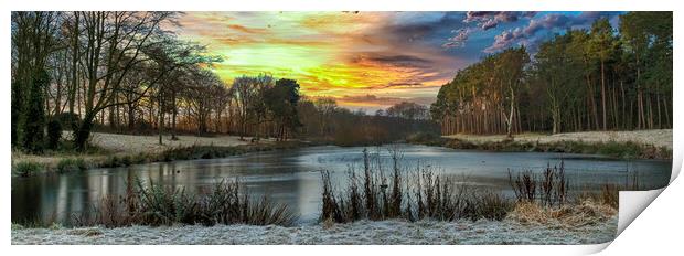Winter Sunrise Print by Darren Ball