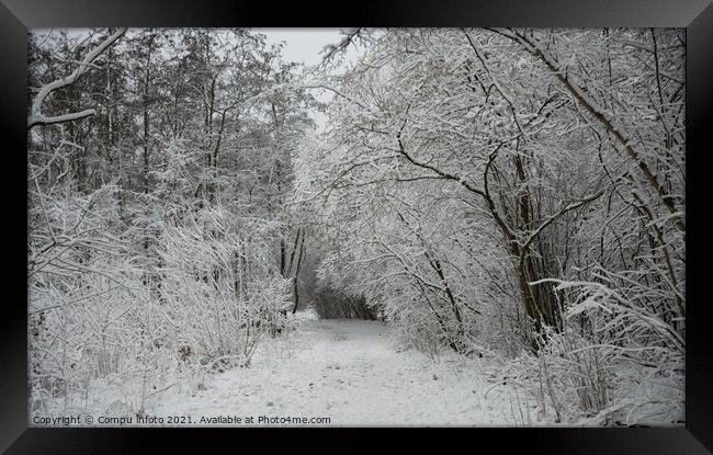 winter in the forest in holland Framed Print by Chris Willemsen