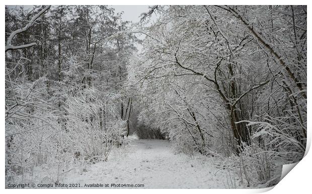 winter in the forest in holland Print by Chris Willemsen