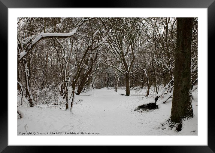 winter in the forest in holland Framed Mounted Print by Chris Willemsen