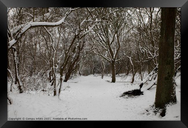 winter in the forest in holland Framed Print by Chris Willemsen