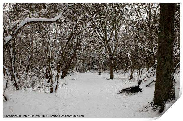 winter in the forest in holland Print by Chris Willemsen